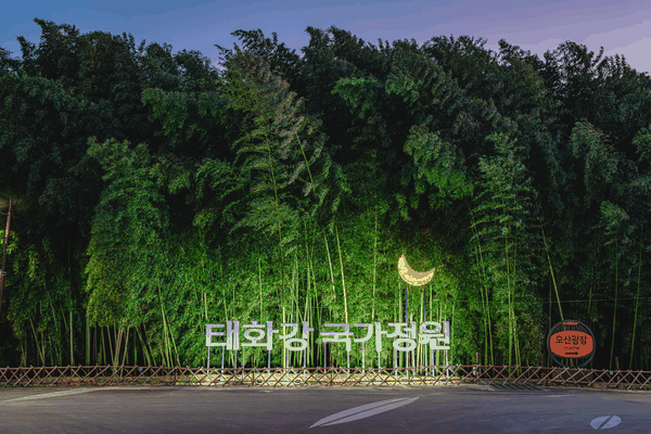 아름다운 달빛투어